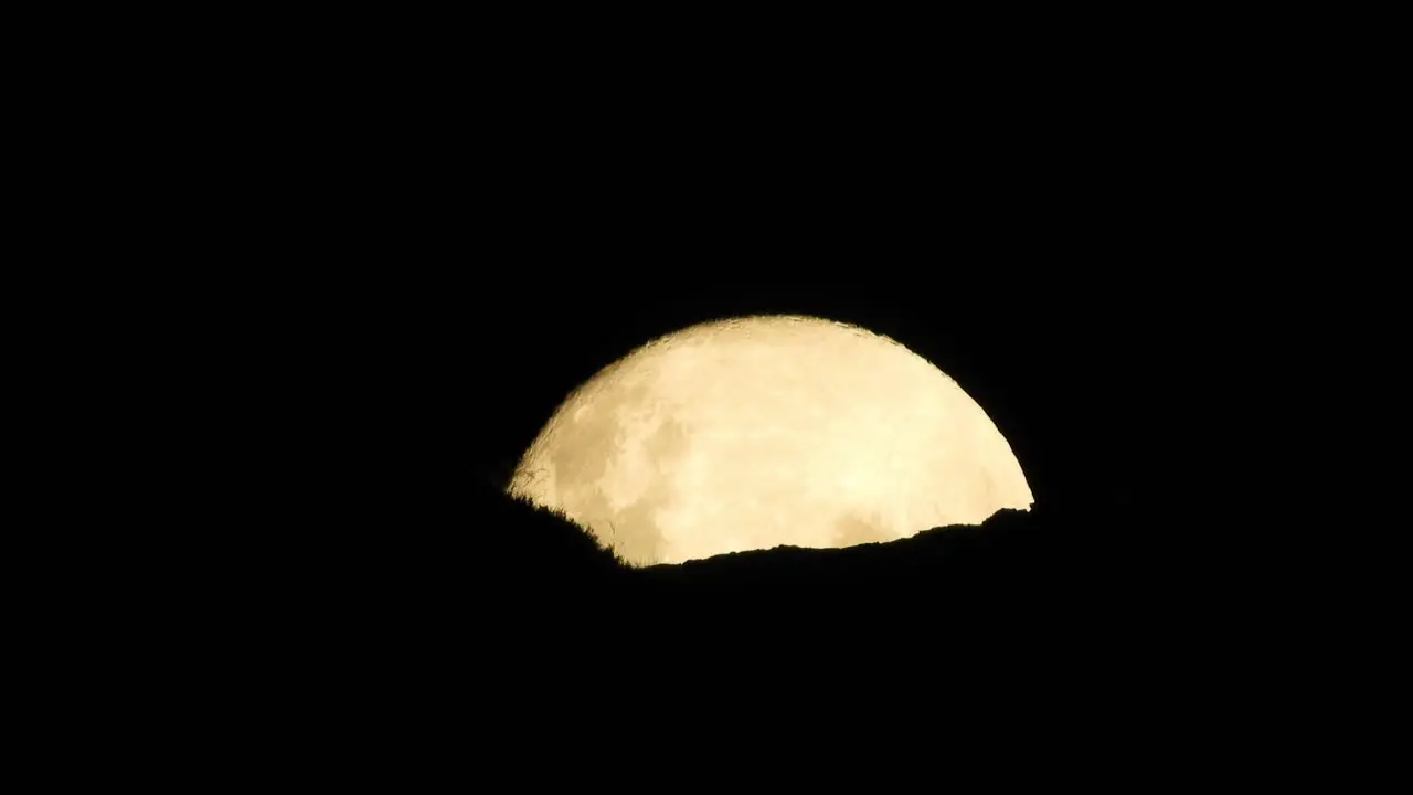 Haunted full moon rising slowly above mountain edge with rocks and plant detail ominous and scary looking reddish color tone with bats flying past