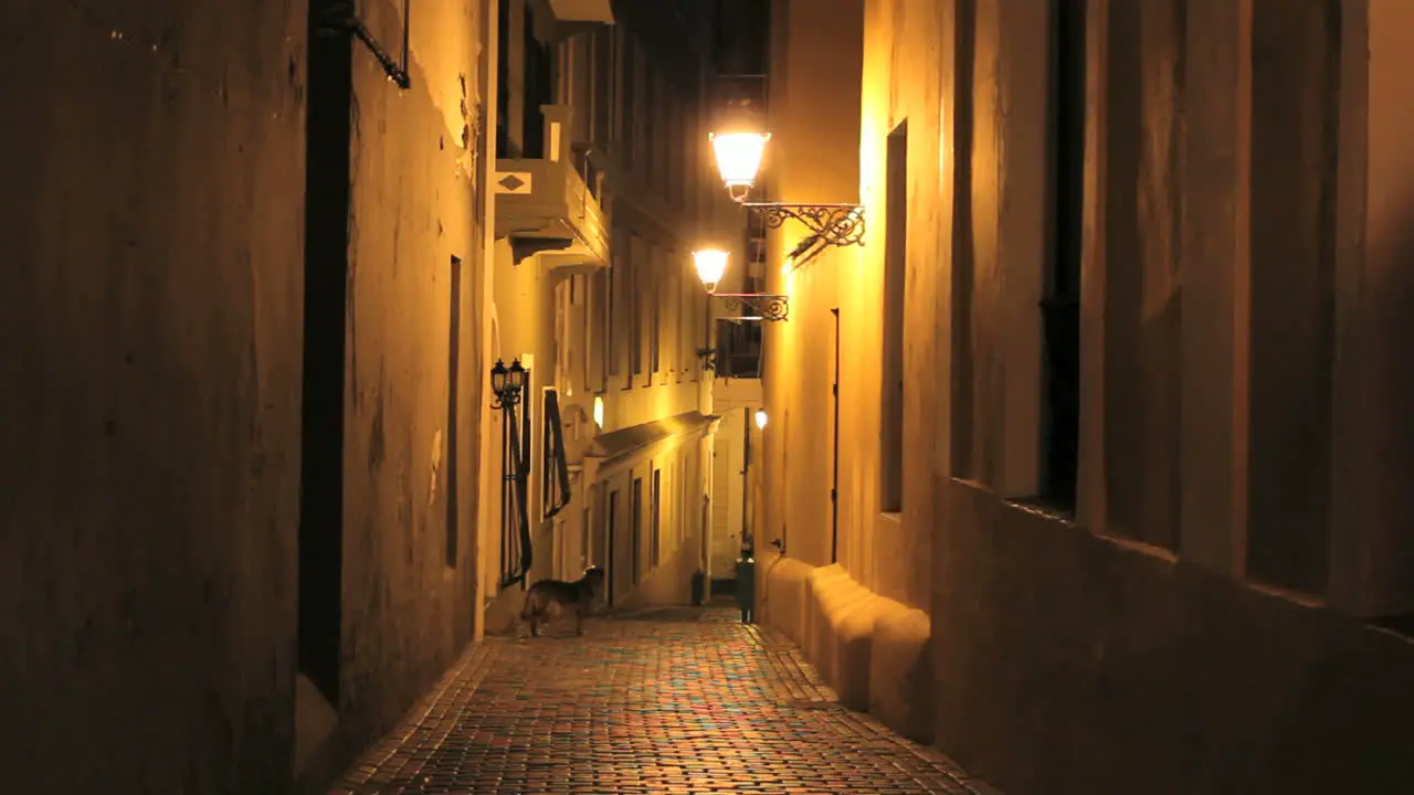 San Juan night alley