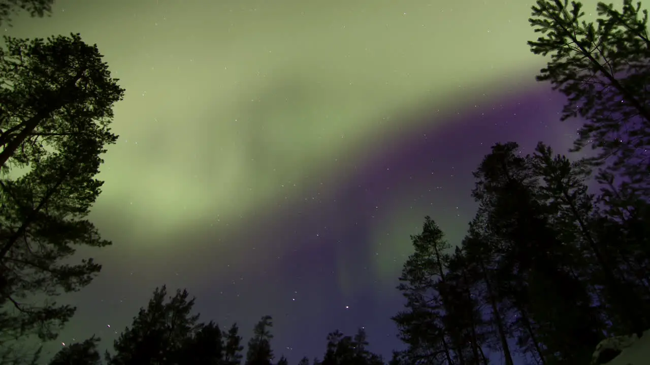 MOTION TIMELAPSE ZOOM OUT of the Aurora Borealis over a clearing in a forest