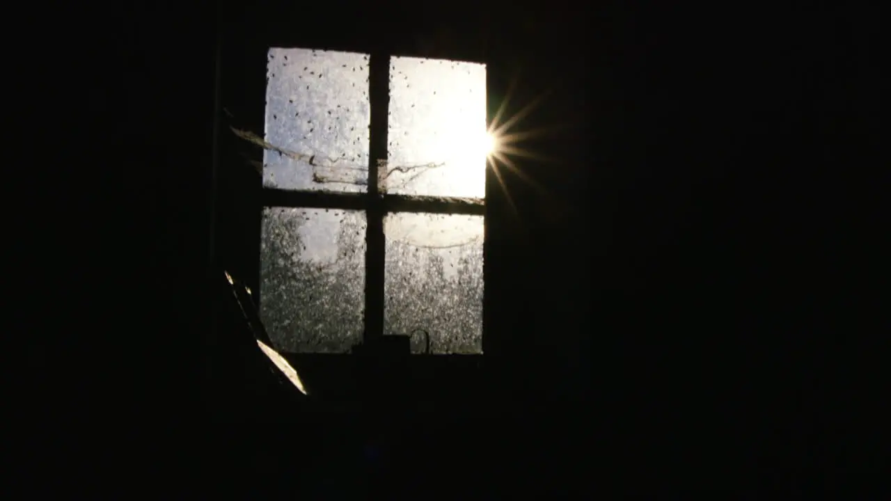 Sunlight shining through a window crawling with flies