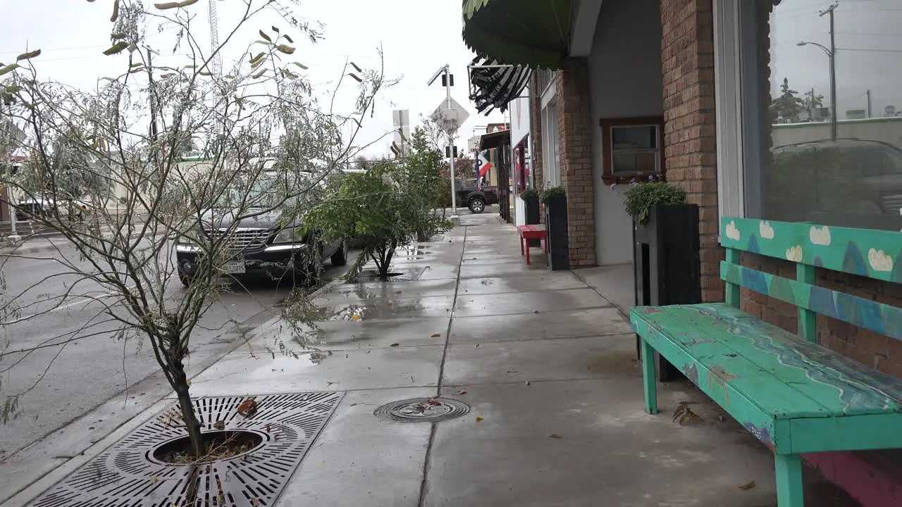 Texas Alpine Downtown Zooms With Bench