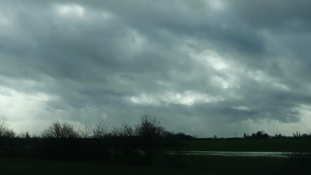 Oregon Roadside Trees In Cloudy Weather