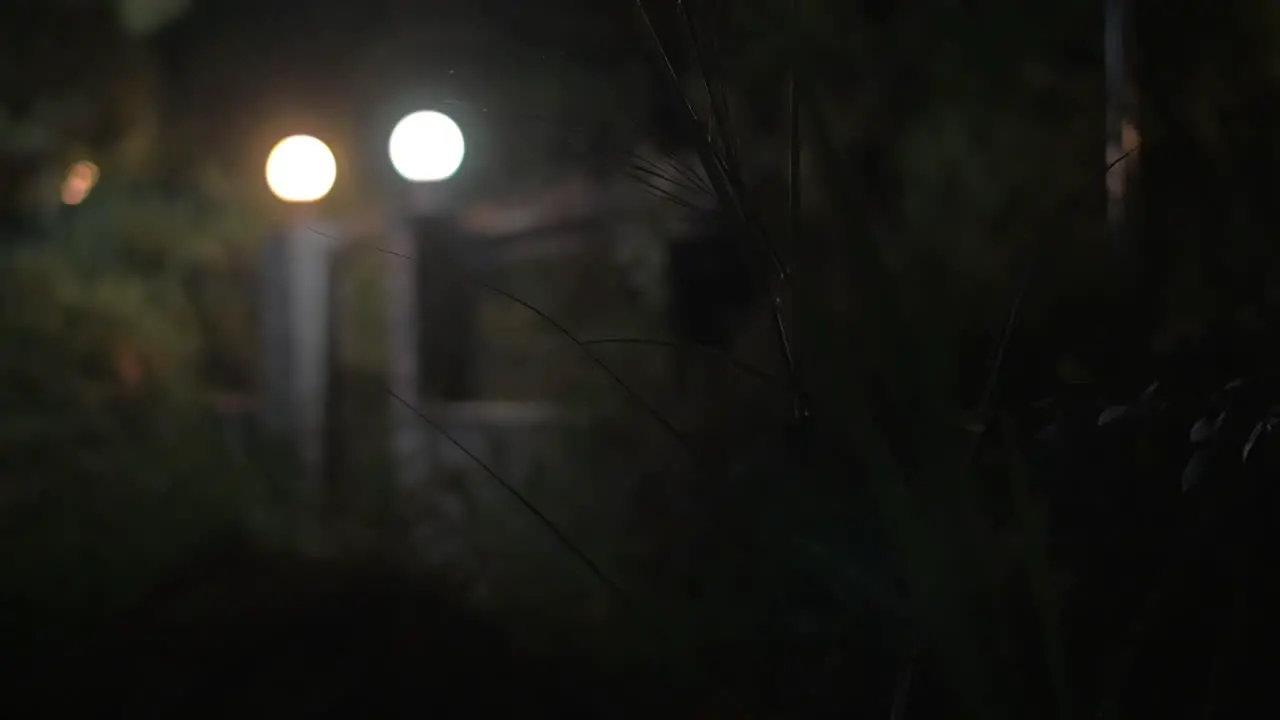 House gates with lanterns at night