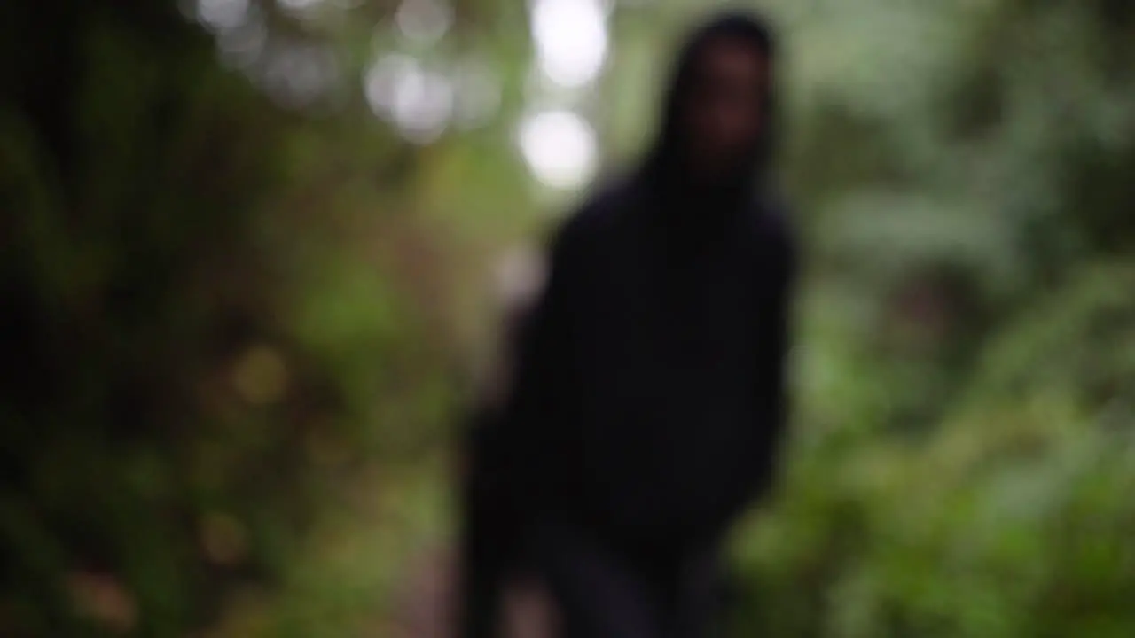 Out of focus figure in Oregon woods