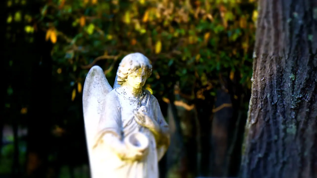 Sunlight and shadow pass over an angelic grave marker in time-lapse