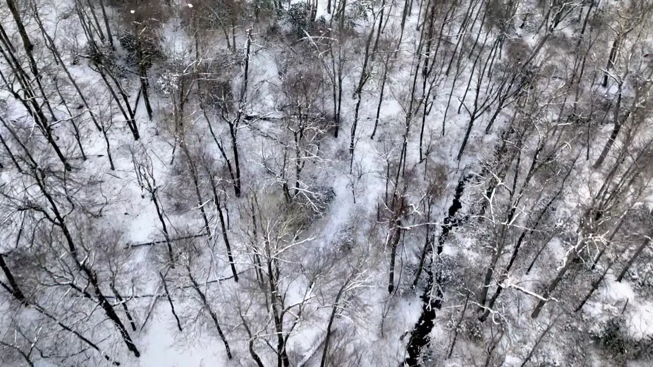 search and rescue winter in wilderness treetops in blue ridge mountains near boone nc