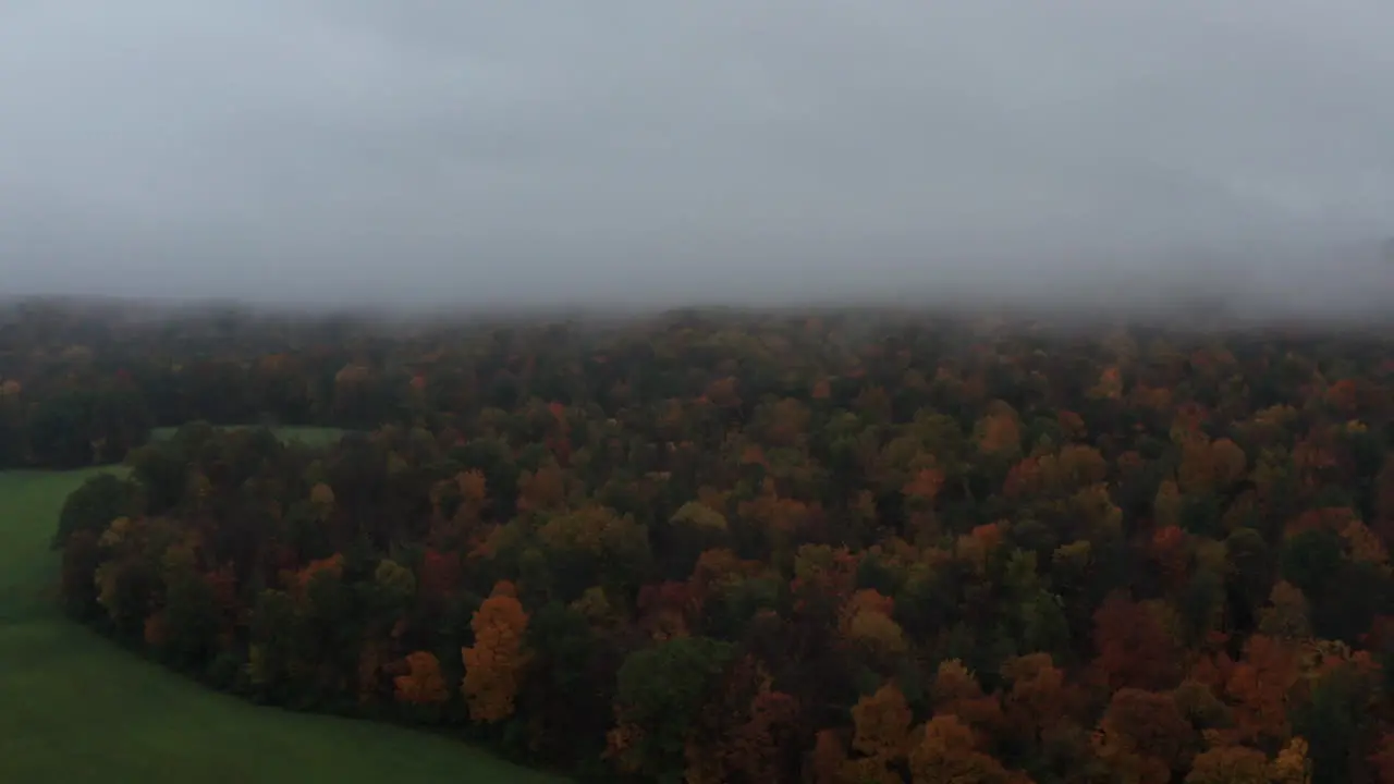 Drifting into the fog in autumn