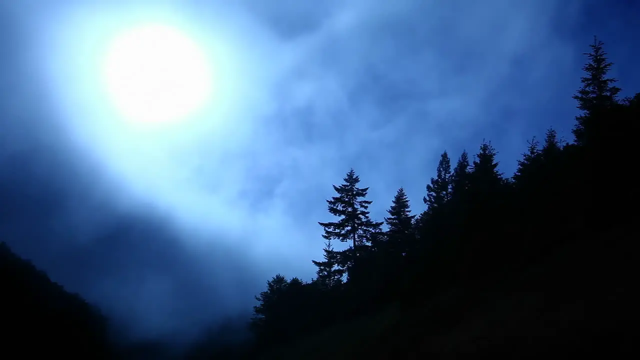 Fog rolls past a forested mountain top