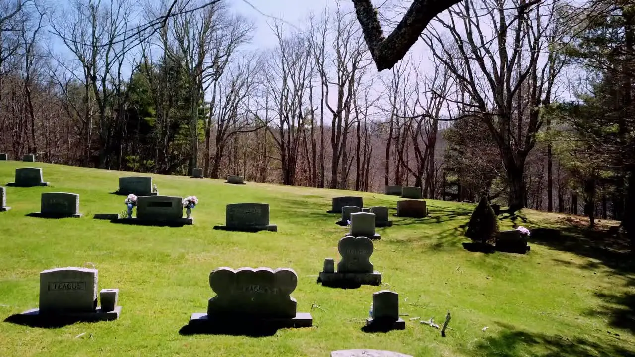 Tombstones through tree branches in 4k aerial