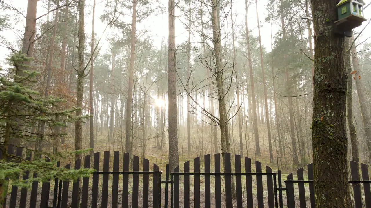 Back out dolly shot of wooden fence with trees and dramatic morning fog mist