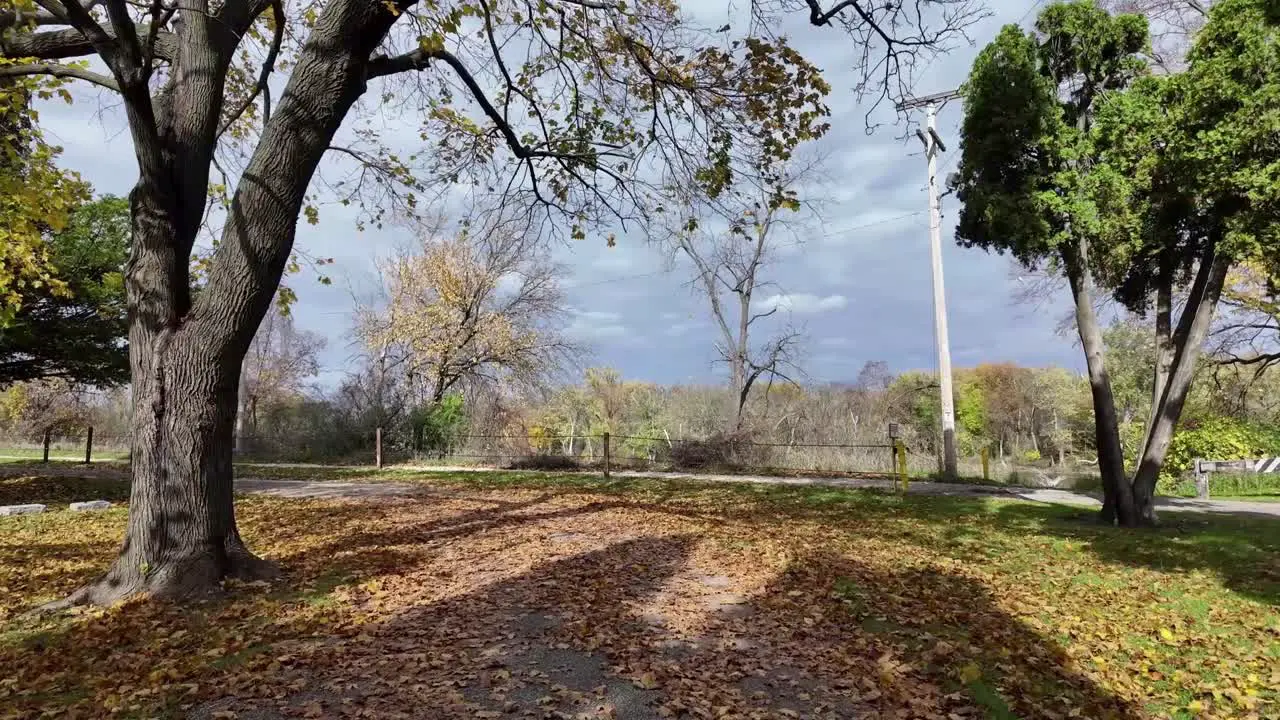 Walking in the leaves on a cloudy fall day through a midwest cemetery