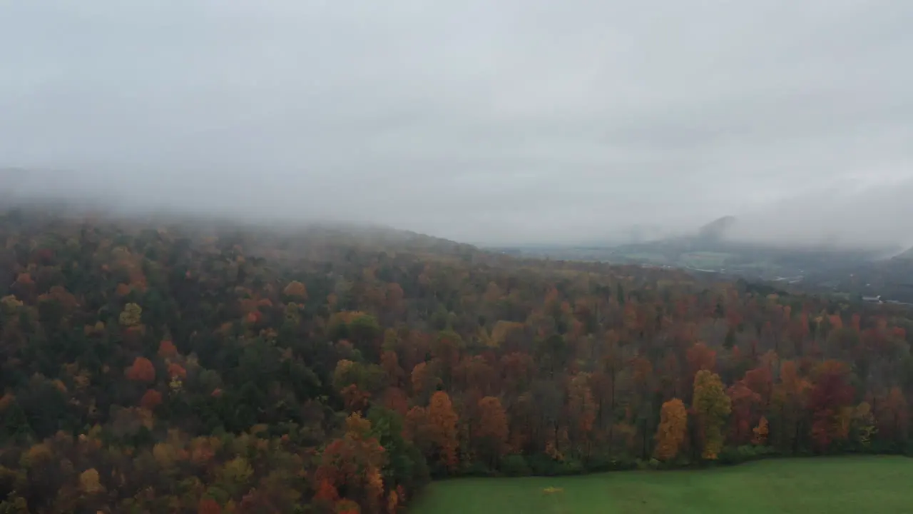 Aerial view of foliage with fog