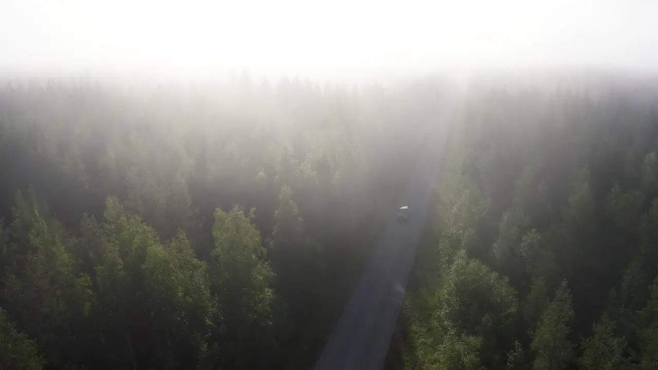 Car driving a empty road in the middle of forest in a foggy landscape