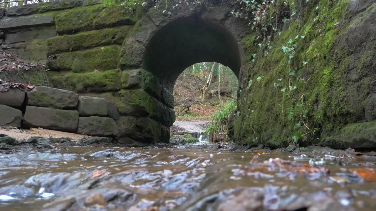 Static shot of small moss covered foot bridge with stream of water