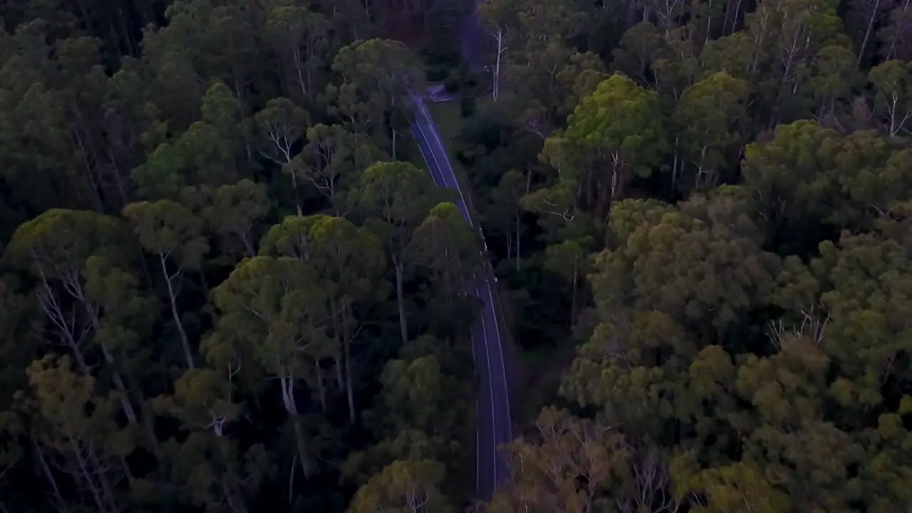 Aerial footage paning forward of busy road through dark forest at night