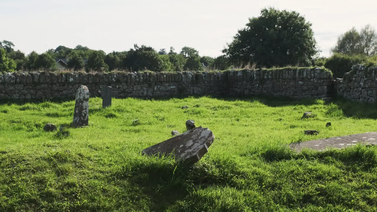 Ancient Irish graveyard at Hore Abbey