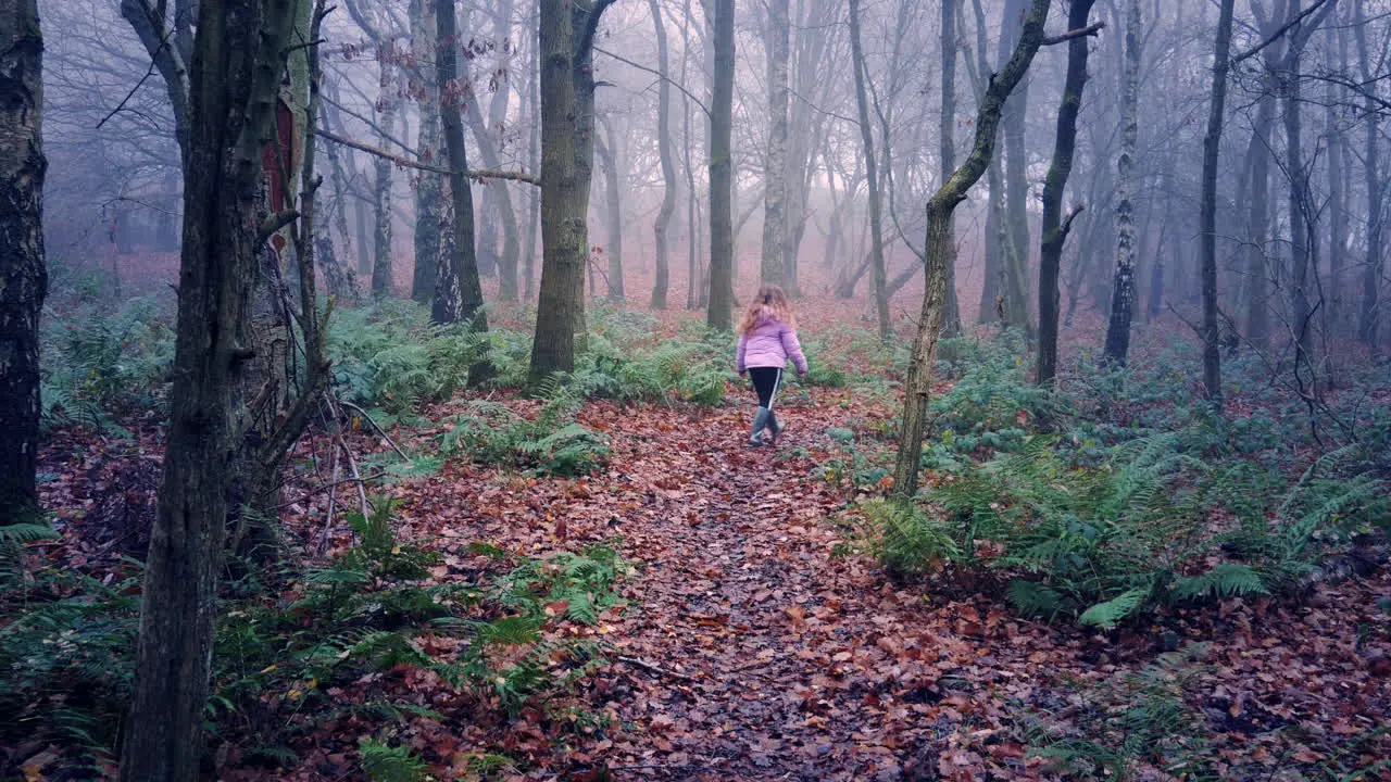 A lonely lost girl wonders through the mystical enchanted misty woods