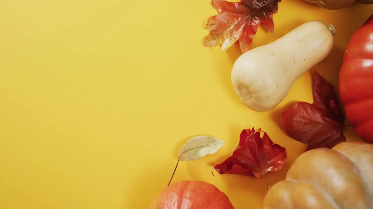 Video of pumpkins with autumn leaves on orange background