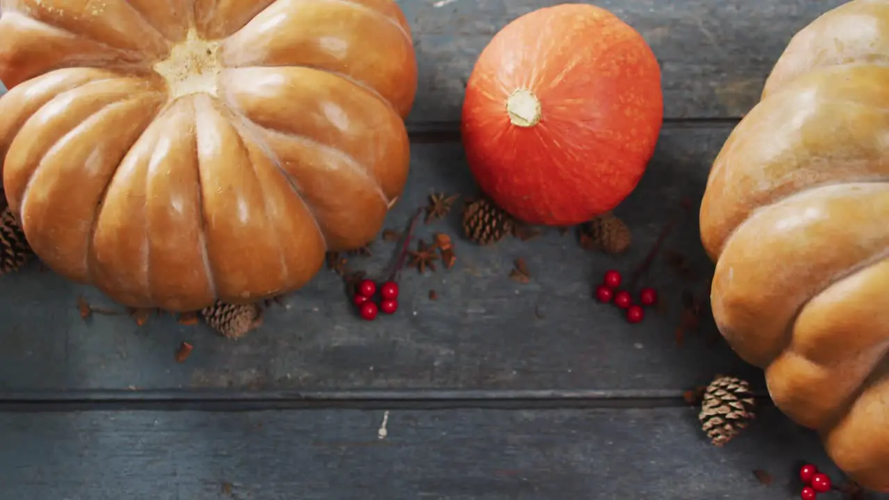 Video of pumpkins with pinecones and rowanberries on wooden background