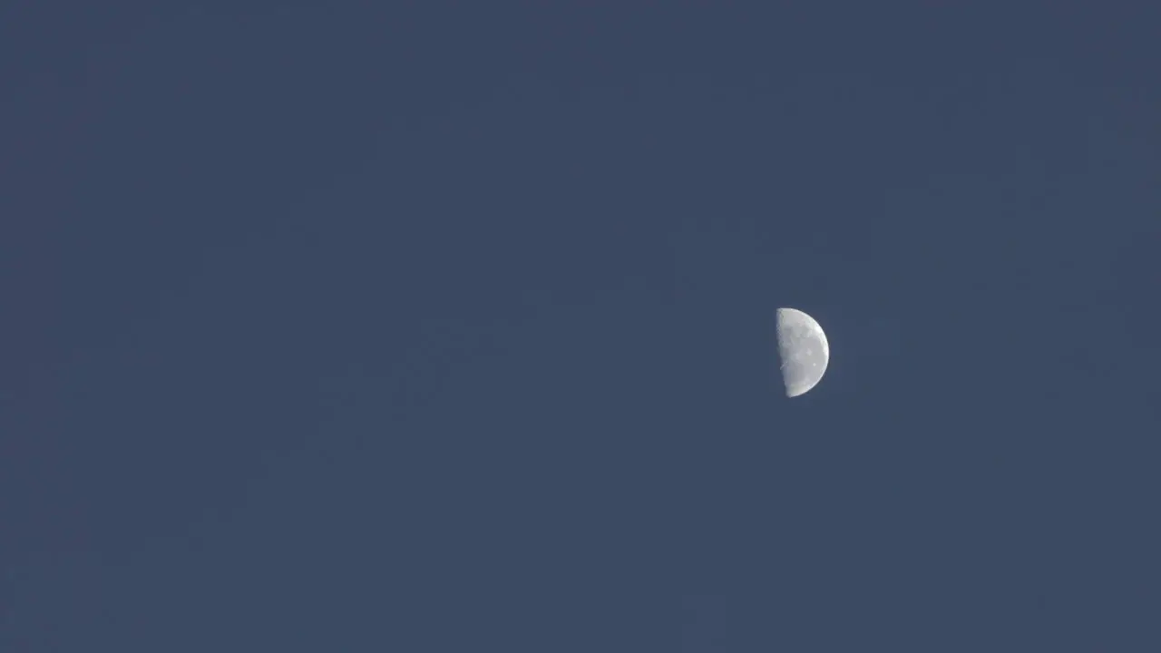 Half moon against dark cloudless night sky