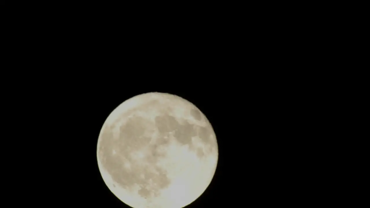 Time lapse of full moon rising through a tree in Oak View California