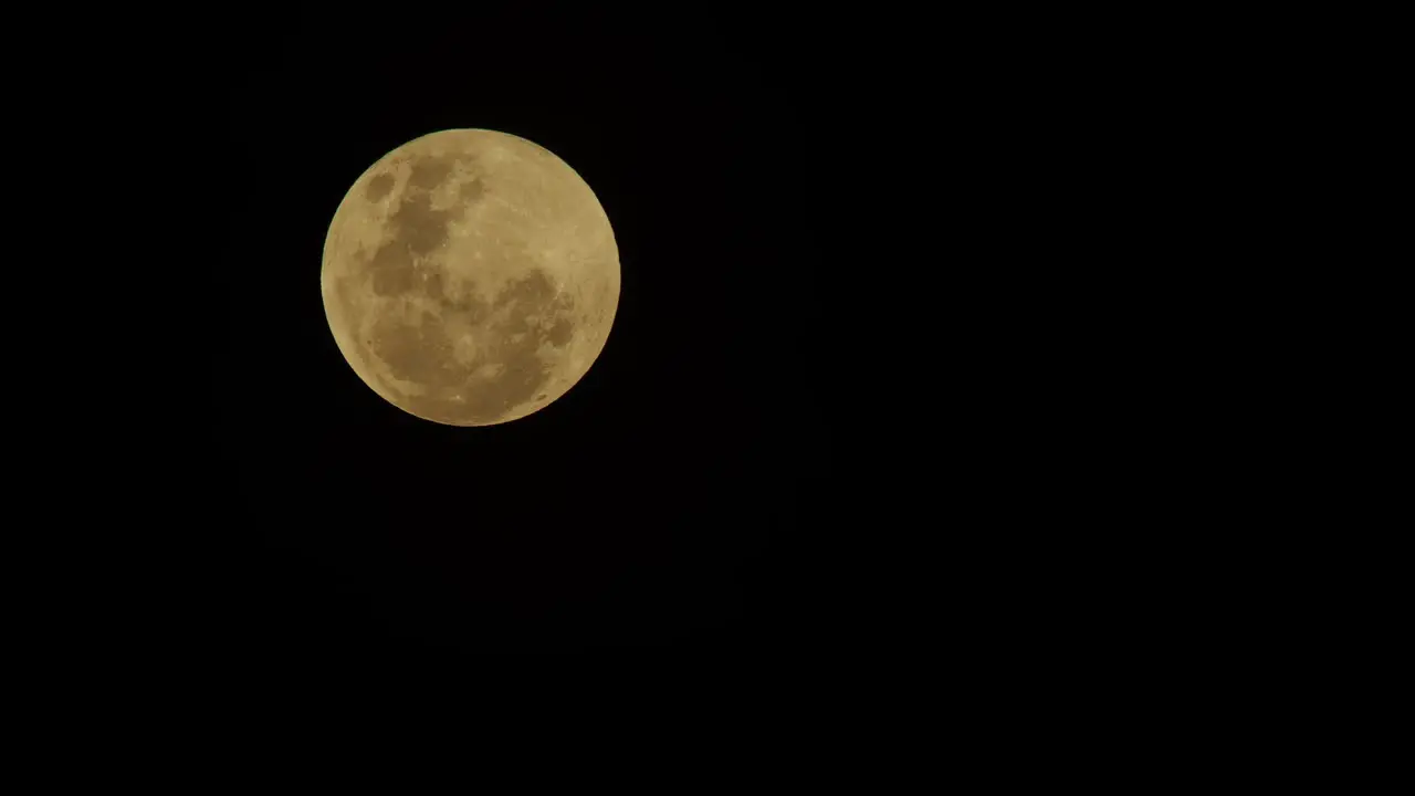 Close up of the moon with a bat flying across