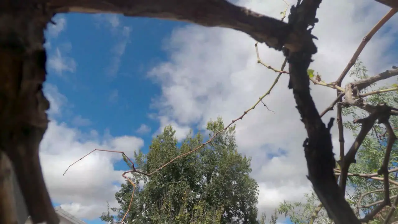 time lapse of a windy day with fast moving clouds