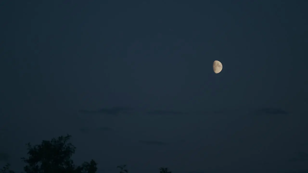 Half moon shines in the top right of