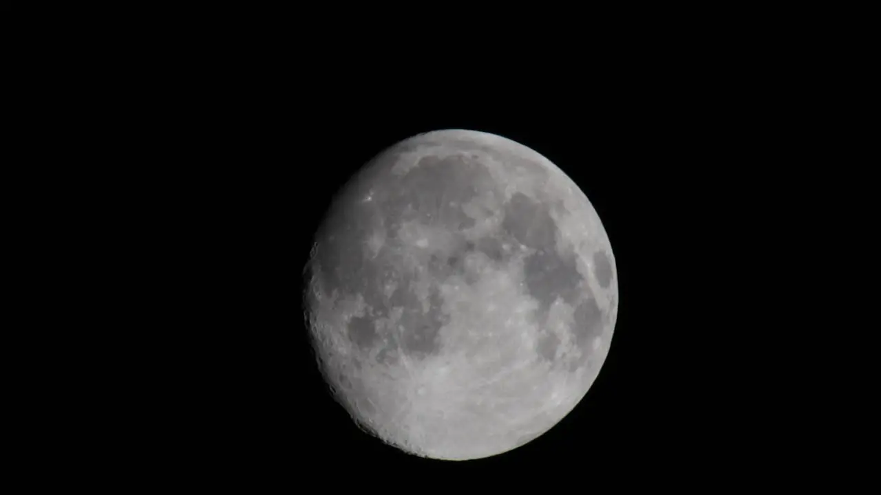 Bird flying in front of a full moon close up