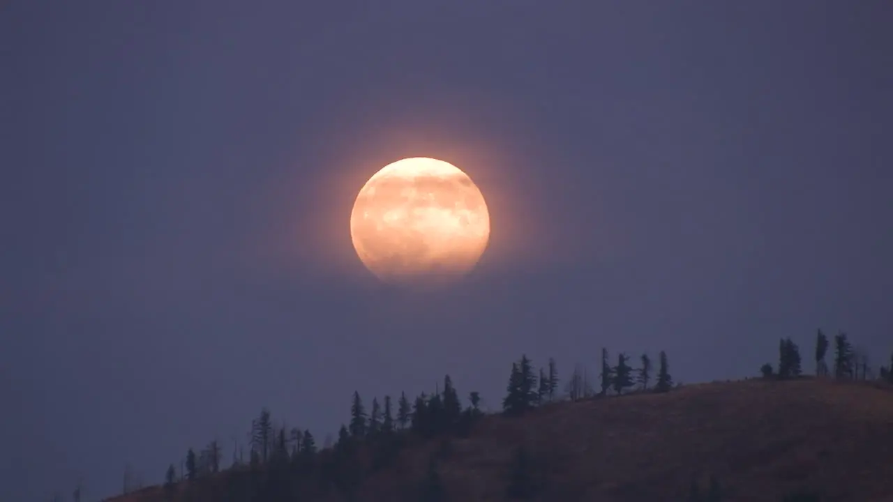 An orange moon rises behind a ridge