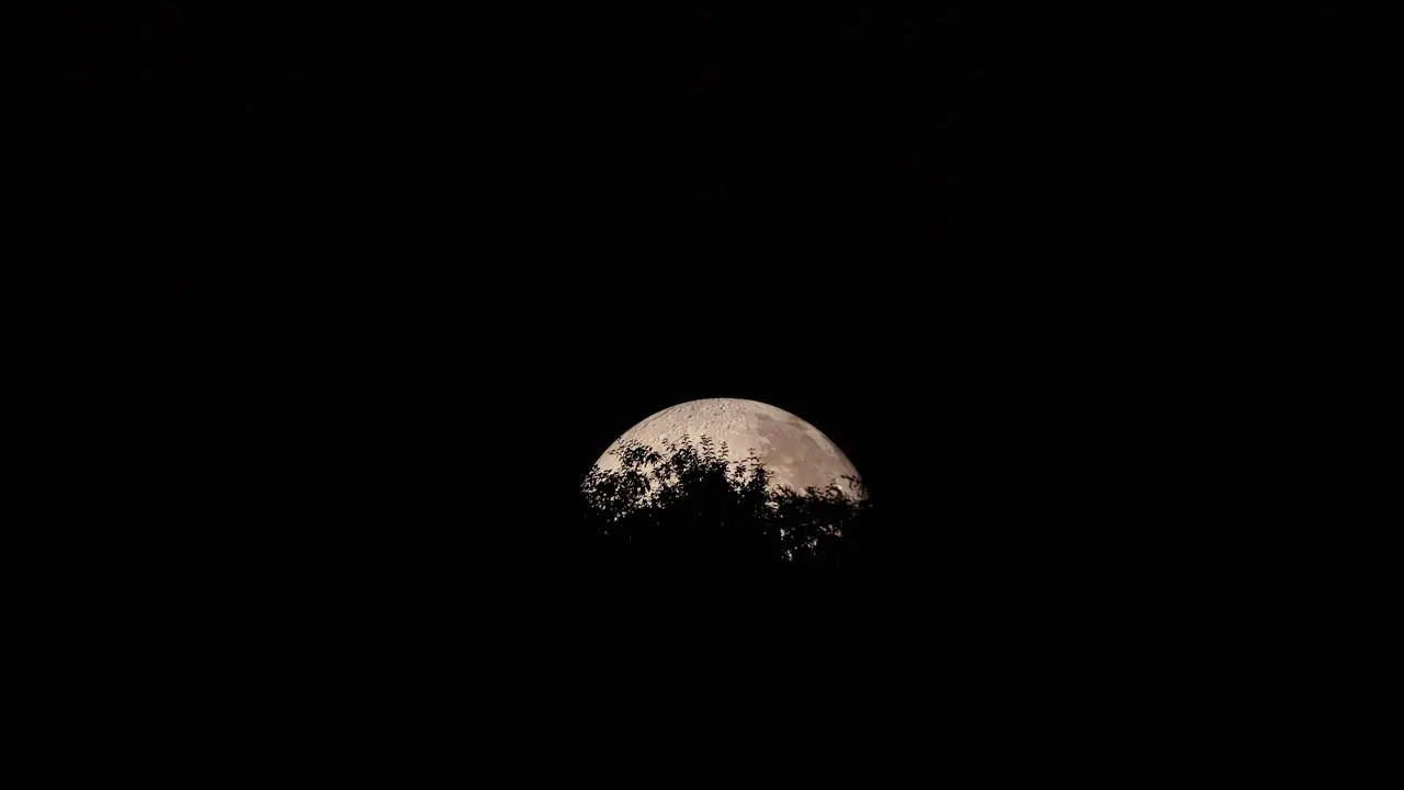 Peak of moon's moon captured with treetops at closeup close up view during night zoom out moon and Lunalon construction with detailed moon landscape captured in 4k