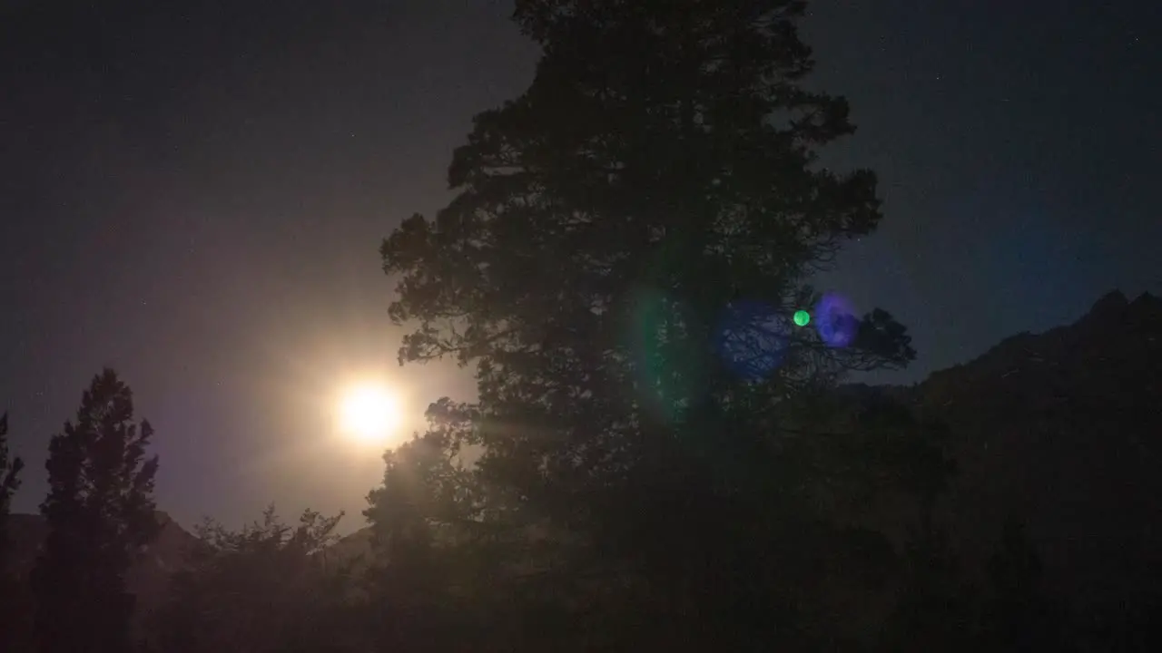 Timelapse Of Full Moon Passing Behind Tree and Shining like Sun Over Piltriquitron Hill In Patagonia Argentina