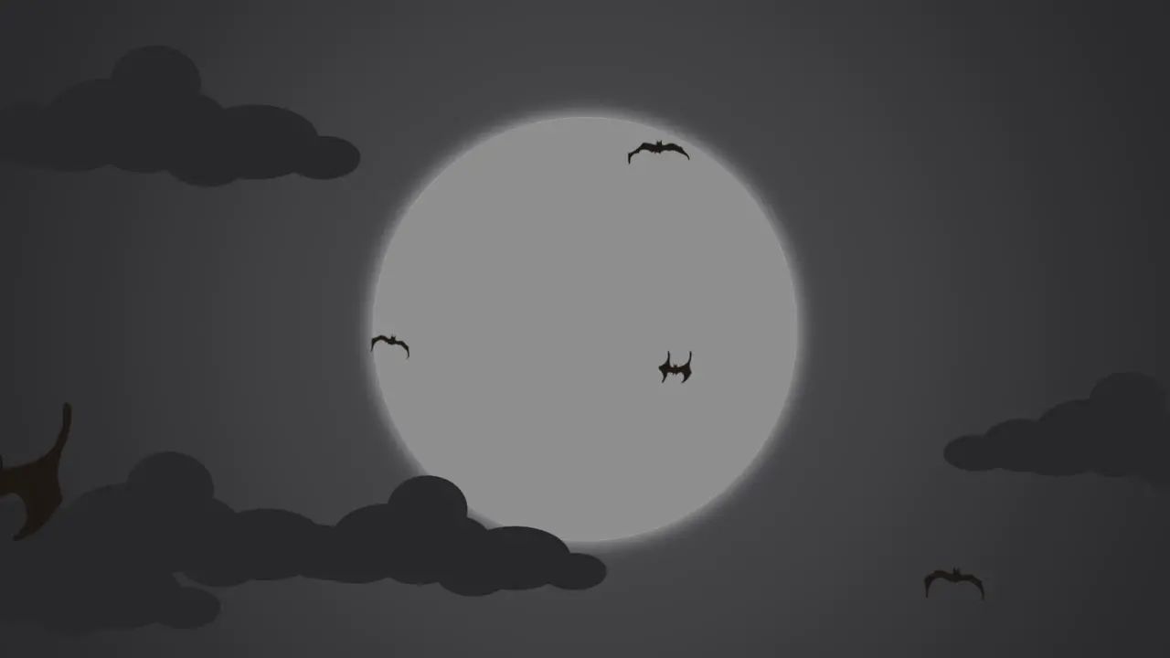 Fly bats and big moon with cloud in black sky