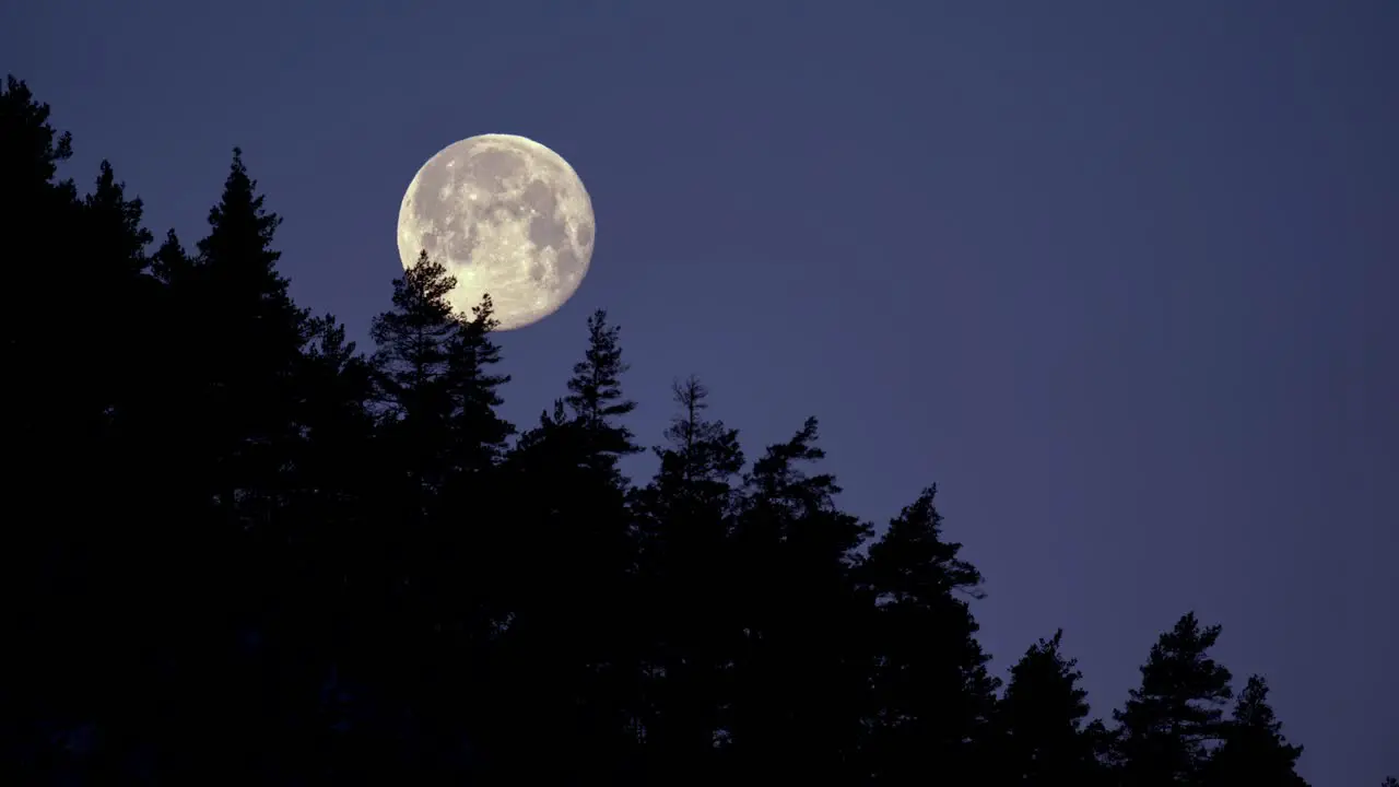 Timelapse of full moon moving through clear night sky behind mountain tree line