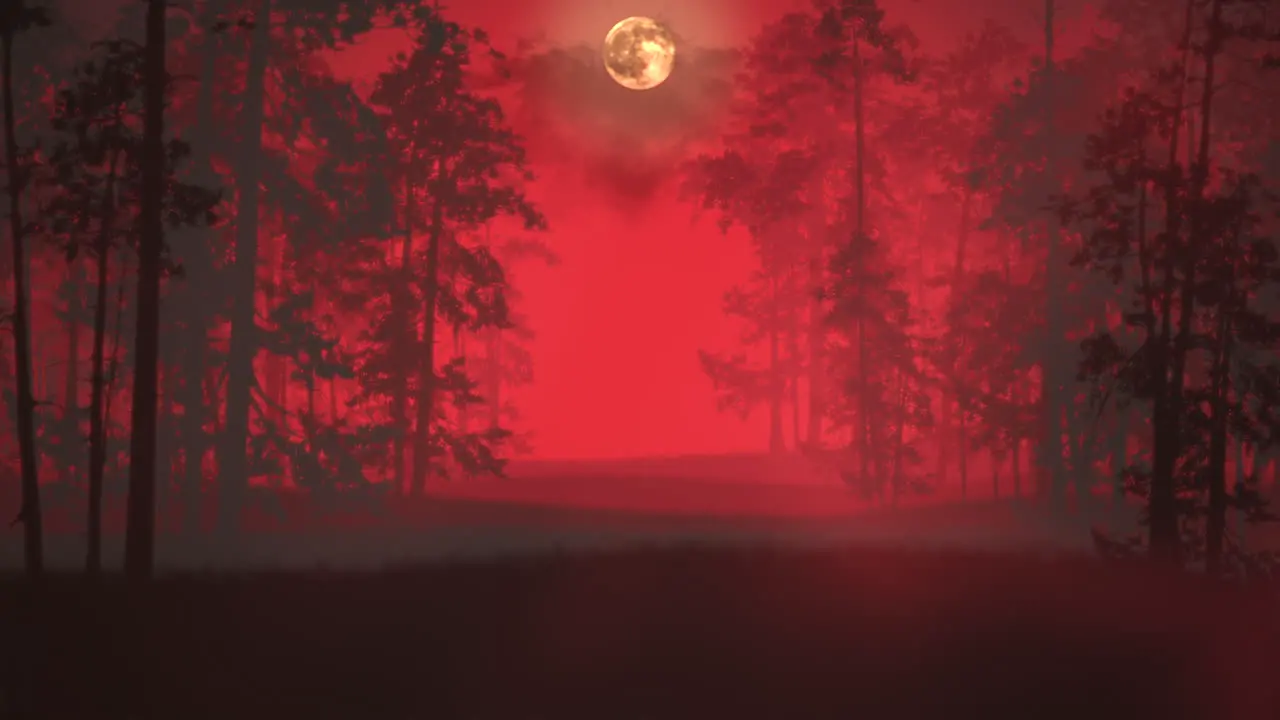 Mystical horror background with dark blood forest and fog