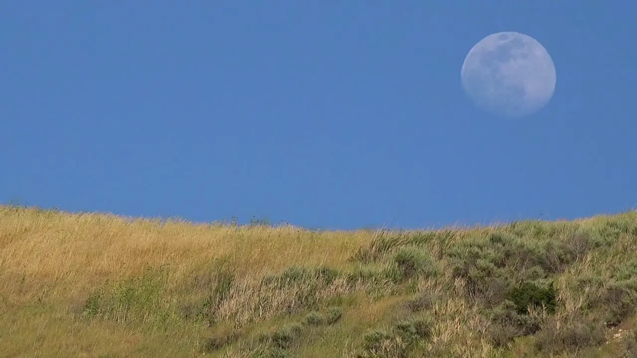 A Full Moon Rises Over A Hillside In California With Grass Blowing In This Beautiful Nature Shot 2