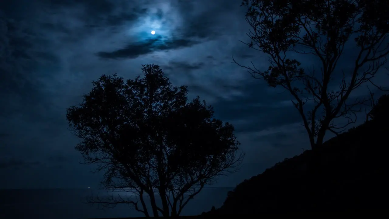 Sardinia Cliff Trees 4K 01