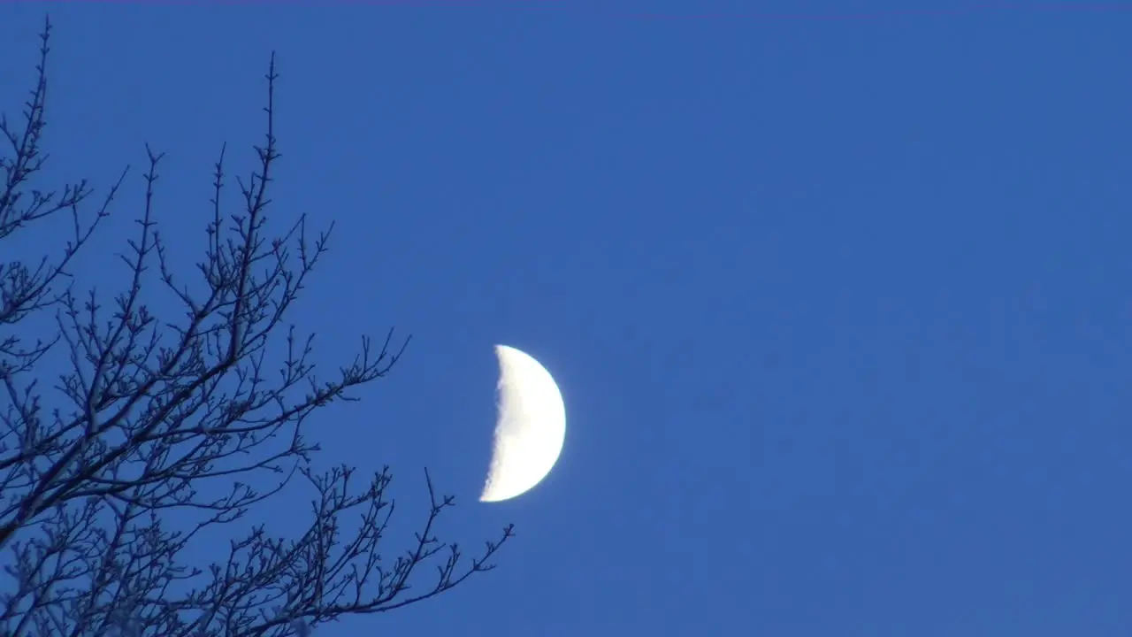 Moon in the blue sky in the evening half of winter timelapse