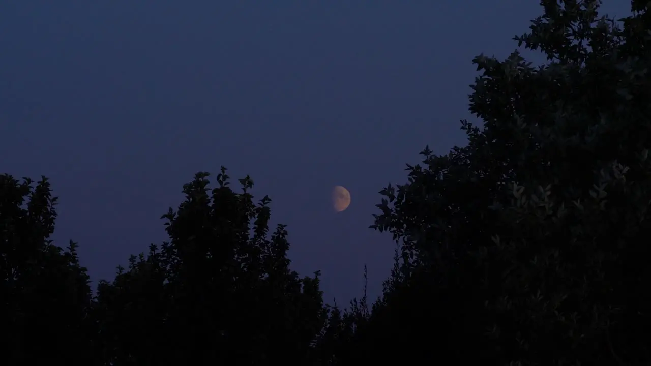 Shots of the moon including timelapse and slowmotion