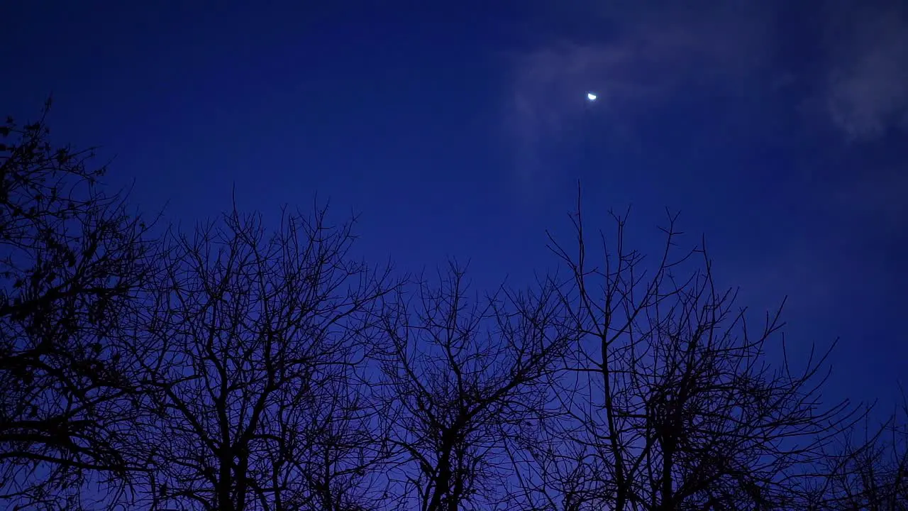 Rotating slow-motion view of tree branches and the moon at dusk