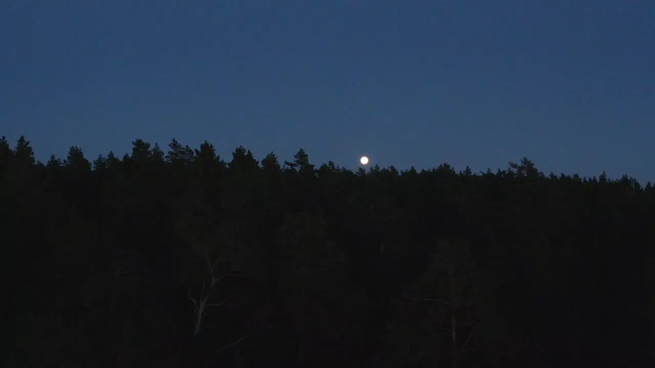 full moon rising over dark shapes of treetops