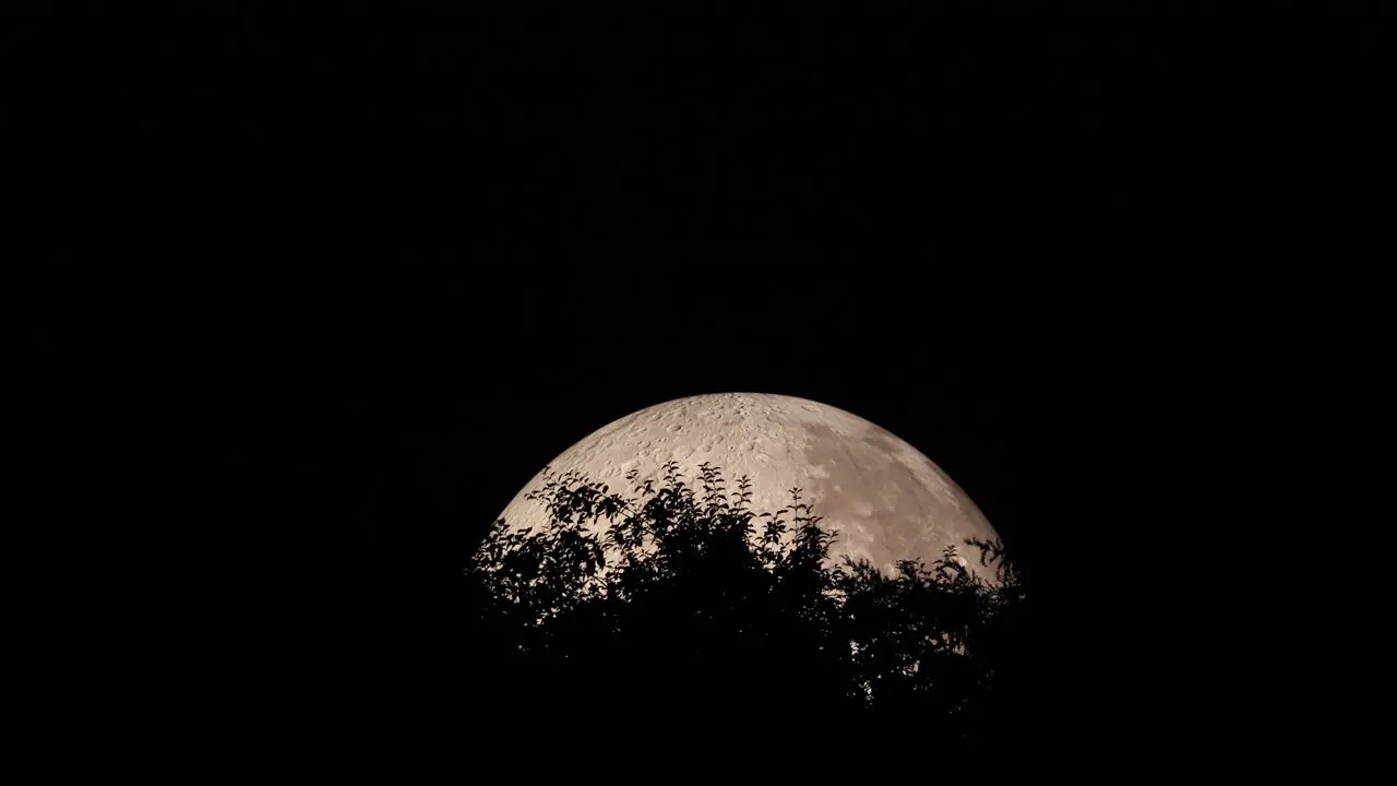 The peak of moons moon captured with treetops at closeup close up view during night and Lunalon construction with detailed moon landscape captured in 4k