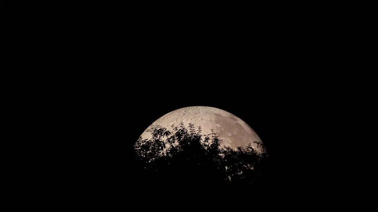 Peak of moon's moon captured with treetops at closeup close up view during night zoom in moon and Lunalon construction with detailed moon landscape captured in 4k