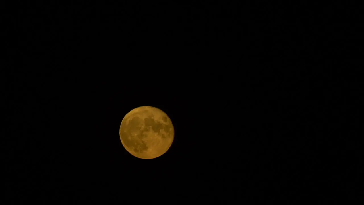 full yellow moon up in to the night summer sky