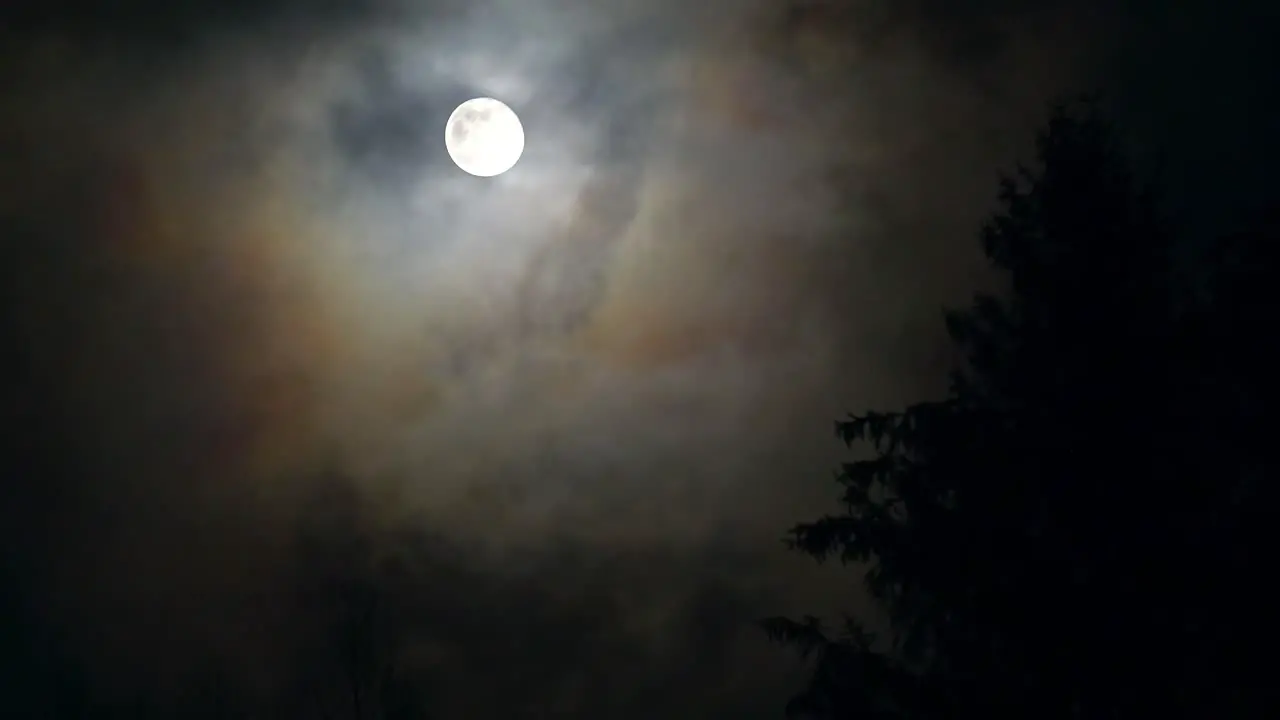 A Breath-taking View of the Full Moon Shining on Silhouetted Trees During a Strong Wind