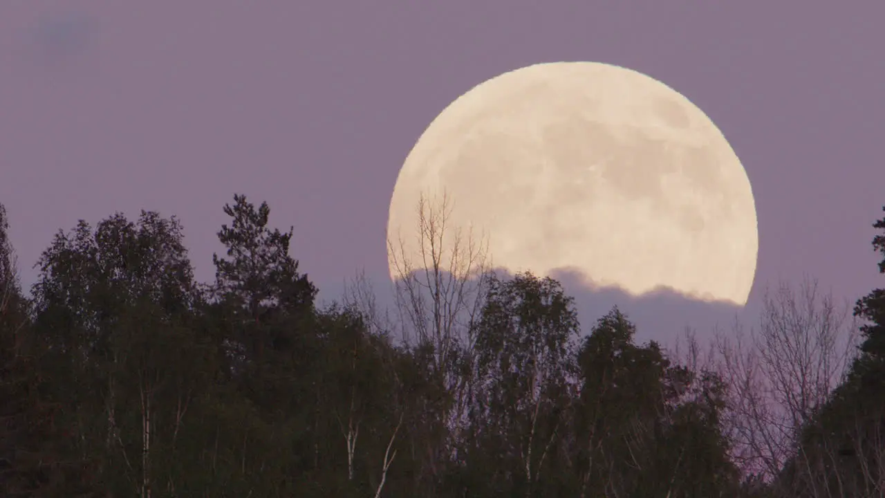 CLOSEUP FULL MOON The full moon rises above a forest Sweden