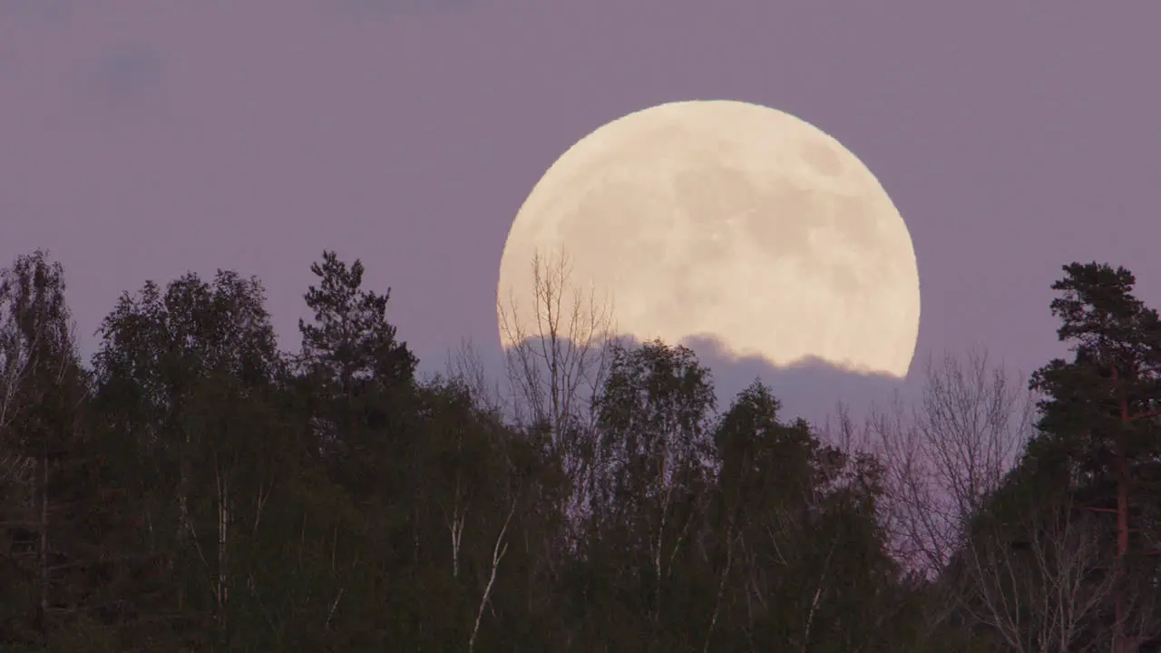 FULL MOON TWILIGHT The full moon rises above a forest Sweden