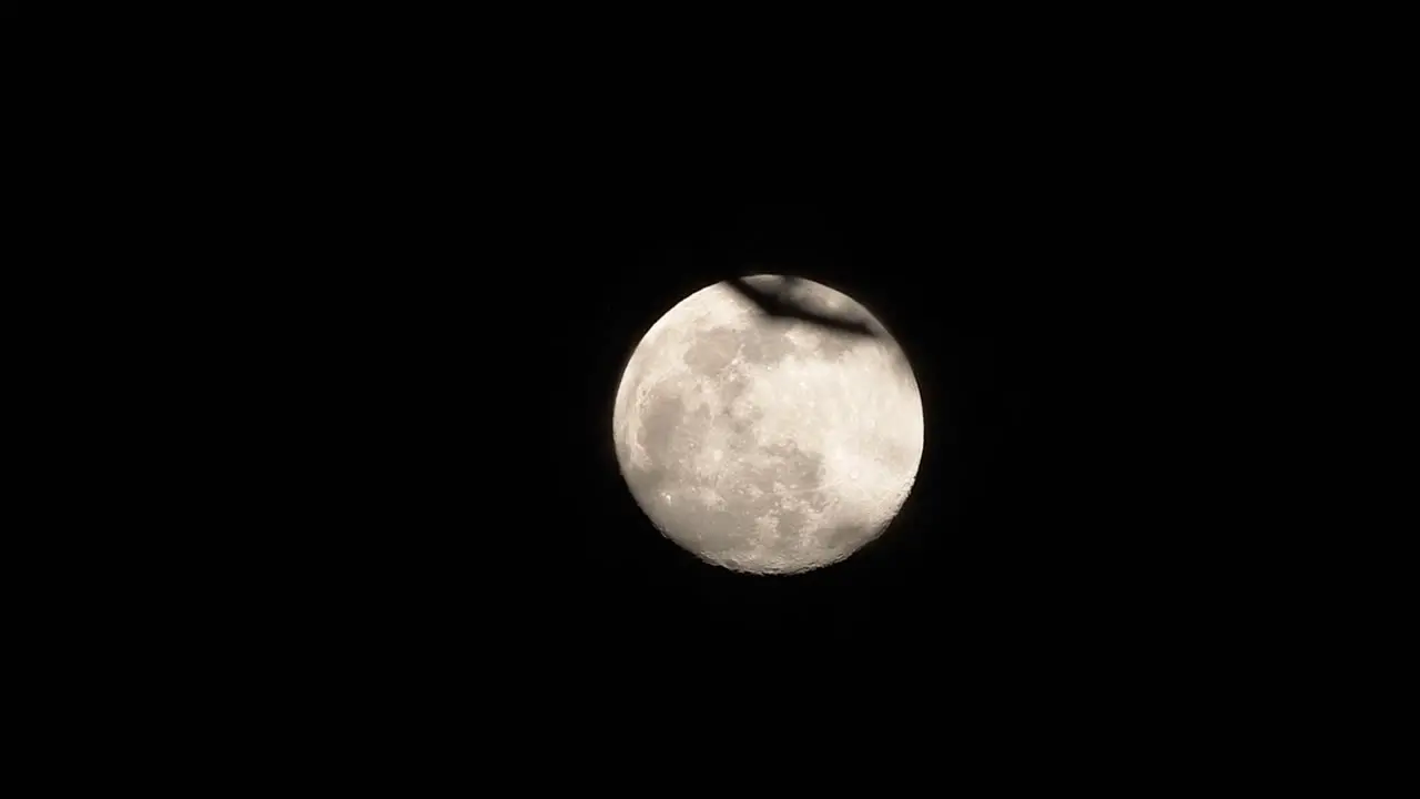 Full moon shot through tree branches at night with a focus pull to settle on the moon