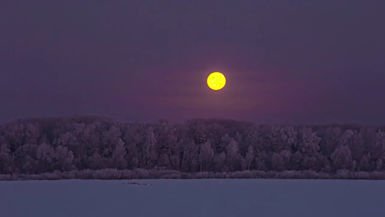 Full moon descends towards the winter forest horizon on a cold night time lapse