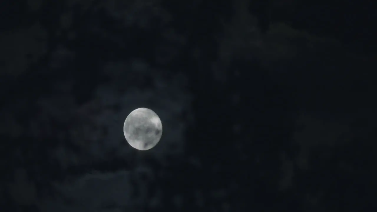 Scary Halloween moon clouds moving behind branches spooky night